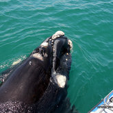 Putting size into perspective!