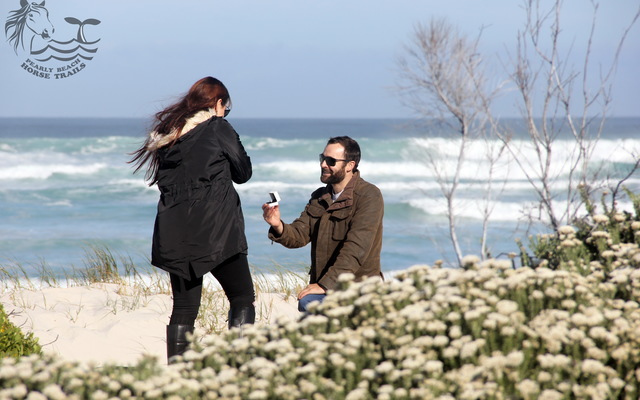 Gansbaai & Pearly Beach Horse Trails