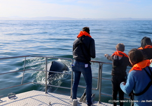 We Hit The Jackpot With Our Whales