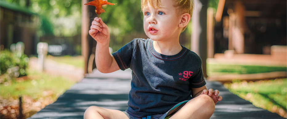 2019_03_21_13.42.15_1561403412