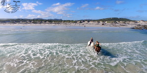 Gansbaai & Pearly Beach Horse Trails