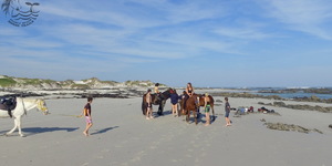 Gansbaai & Pearly Beach Horse Trails