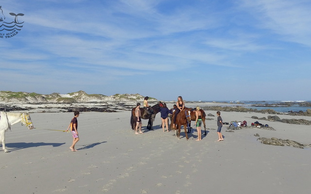 Gansbaai & Pearly Beach Horse Trails