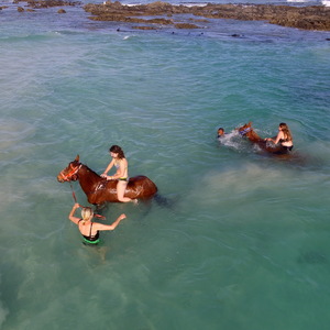Gansbaai & Pearly Beach Horse Trails