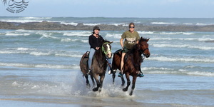 Gansbaai & Pearly Beach Horse Trails