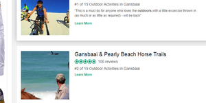 Gansbaai & Pearly Beach Horse Trails