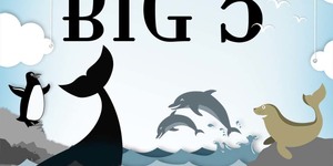 Marine_Big_5_Info_1601563004