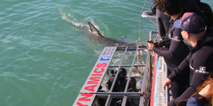 marine_dynamics_3_1561619940