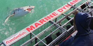 marine_dynamics_listing_1561619942