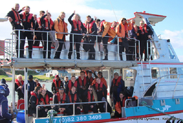 Daily Blog 03 July 2019 | White Shark Diving Gansbaai