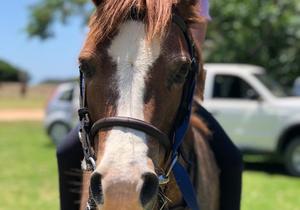 Childrenâ€™s Parties