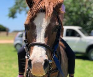 Childrenâ€™s Parties