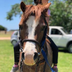 Bredasdorp - Pony Pals - Childrenâ€™s Parties