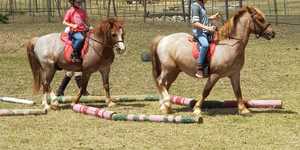 Bredasdorp - Pony Pals - Childrenâ€™s Parties