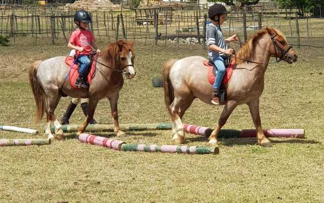 Bredasdorp - Pony Pals - Childrenâ€™s Parties