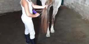 Bredasdorp - Pony Pals - Childrenâ€™s Parties