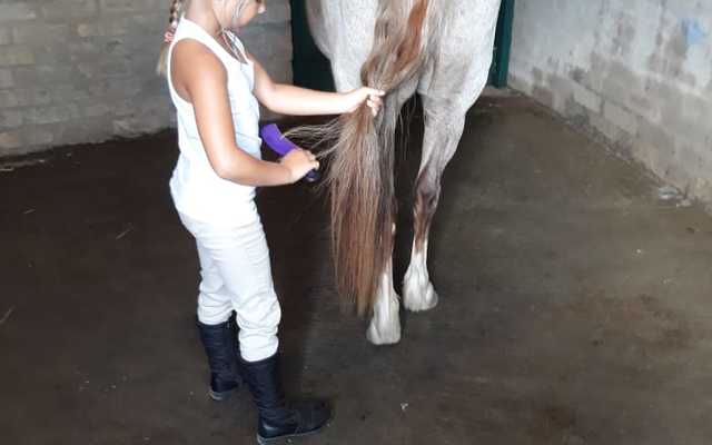 Bredasdorp - Pony Pals - Childrenâ€™s Parties