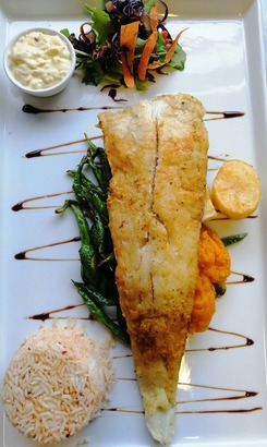 b_b_blondssss_1562664701