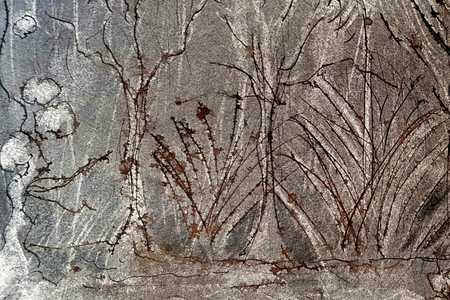 ara_abott_1562746875