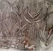 Sara Abott's Drawings Inspired by her Garden