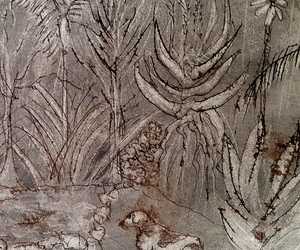 Sara Abott's Drawings Inspired by her Garden