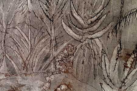 sara_abott__1562746876