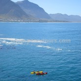 Hermanus - Percy Tours - Kayaking