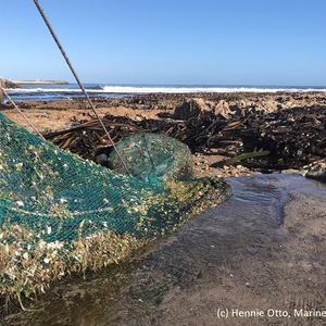 dyer_island_conservation_trust_plastic_polution_2_1562921334