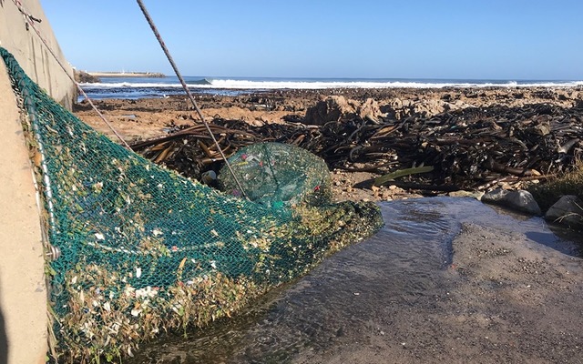 dyer_island_conservation_trust_plastic_polution_2_1562921334