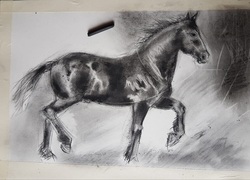 New Charcoal Drawing in Progress