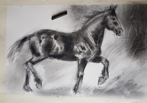 New Charcoal Drawing in Progress