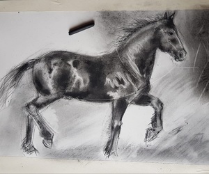 New Charcoal Drawing in Progress