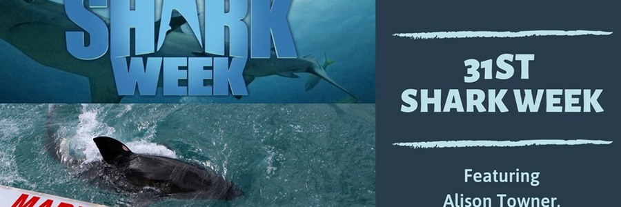 67065072_2293548944064774_3175043419537932288_n_1564049887