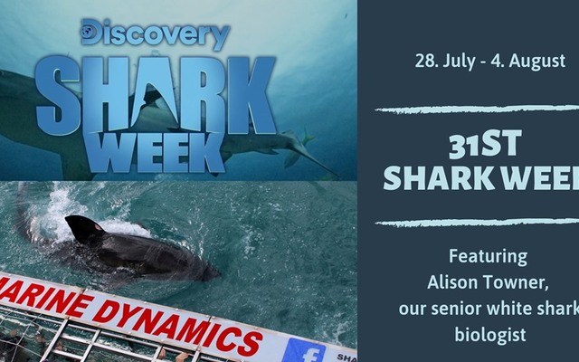 67065072_2293548944064774_3175043419537932288_n_1564049887