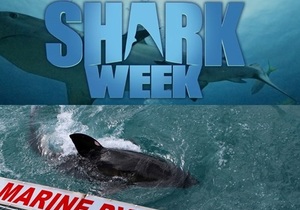 Shark Week 2019 ft. Marine Dynamics