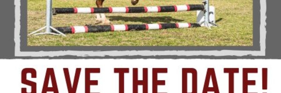 pony_club_overberg_spring_show_1564394538