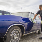 Hermanus - Wolf Conversions - Car Polish