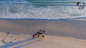 June - July 2019 Horse Riding Trips