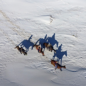 Gansbaai & Pearly Beach Horse Trails