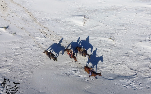 Gansbaai & Pearly Beach Horse Trails