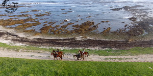 Gansbaai & Pearly Beach Horse Trails