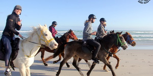 Gansbaai & Pearly Beach Horse Trails