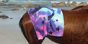 Gansbaai & Pearly Beach Horse Trails