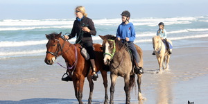 Gansbaai & Pearly Beach Horse Trails