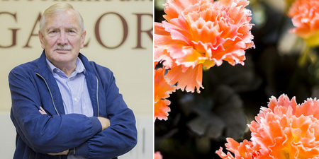 hermanus_rental_agents_accommodation_galore_owner_1564577303