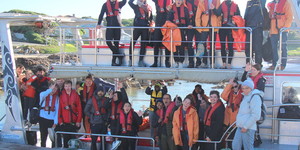 Gansbaai - Marine Dynamics - Shark Cage Diving