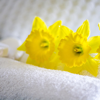 Hermanus - Washing Ways Laundry House - Freshly Washed