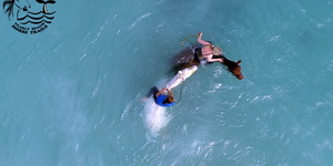 Gansbaai & Pearly Beach Horse Trails