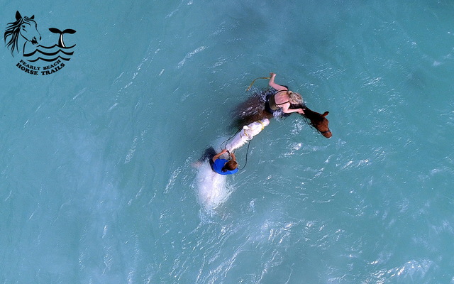 Gansbaai & Pearly Beach Horse Trails