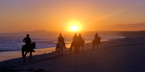 Gansbaai & Pearly Beach Horse Trails